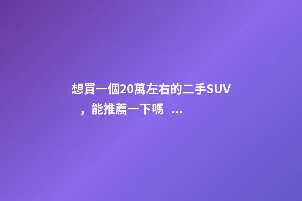 想買一個20萬左右的二手SUV，能推薦一下嗎？